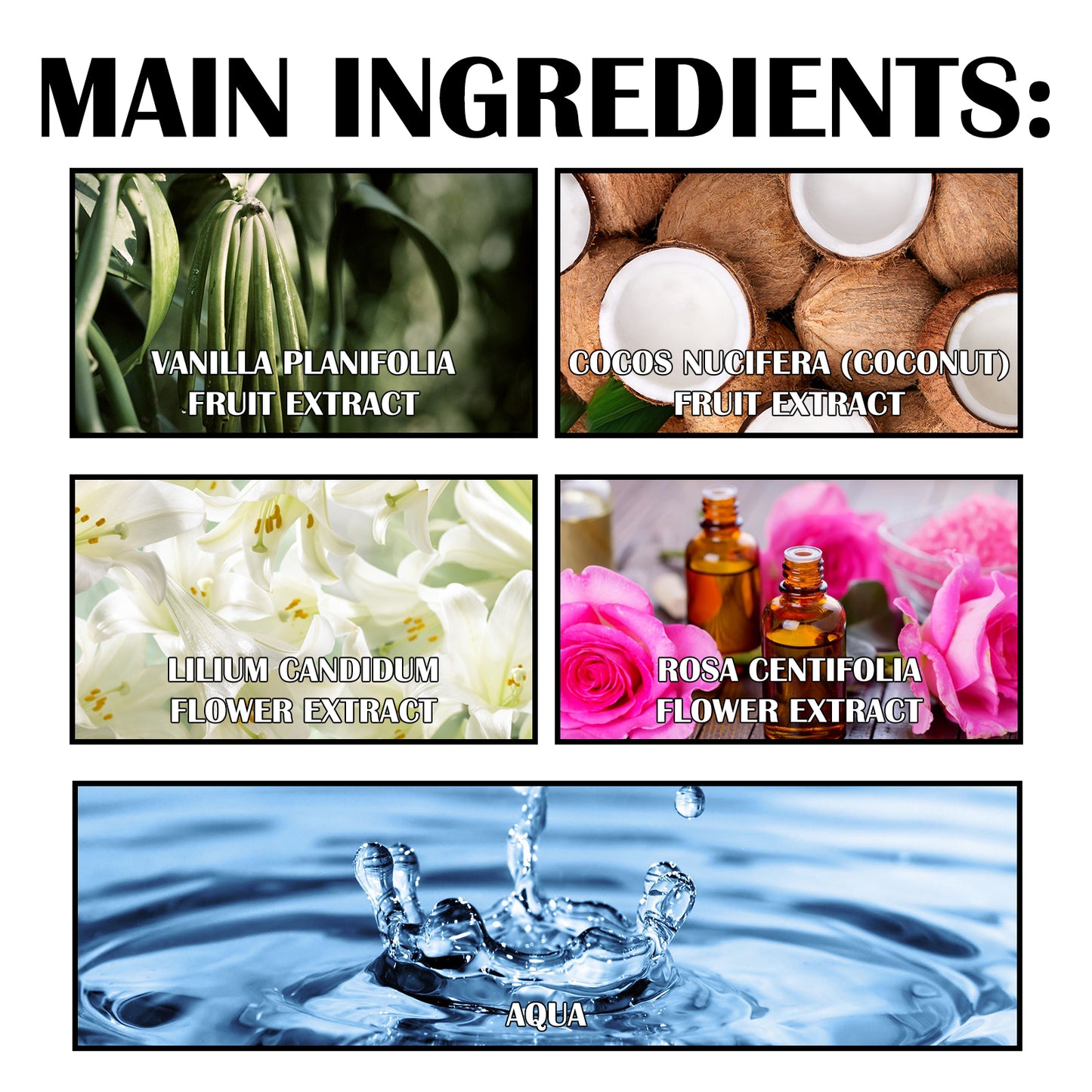 Premium Lilienparfüm, Damen-Lily-Duft, Duft, natürlich, frisch, Stay Charm Ball Parfüm